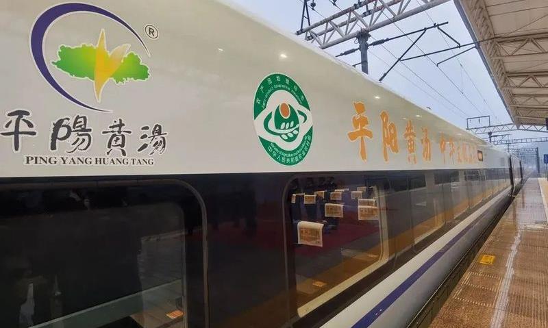 温州早茶——平阳黄汤