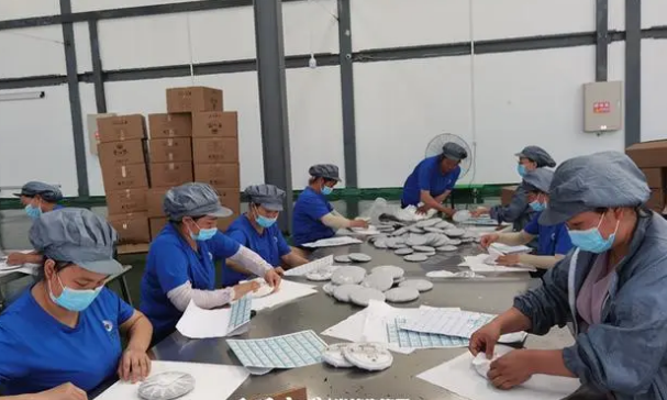 黄红缨：扎根贵州十余年，让万亩荒山变茶园