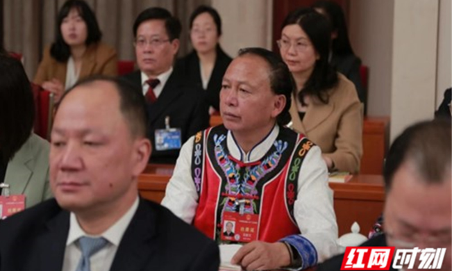 龙献文：建设“湖南红茶”产业集群，打造三农“五千工程”典范