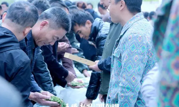 宋宝安代表：让茶产业成为贵州推进乡村全面振兴的“火车头”