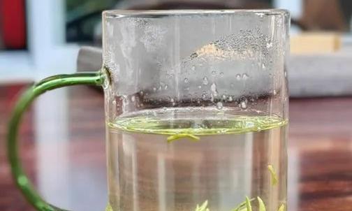 温州早茶——雁荡毛峰