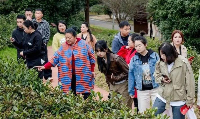 “红黑”相携 开启名茶新风口