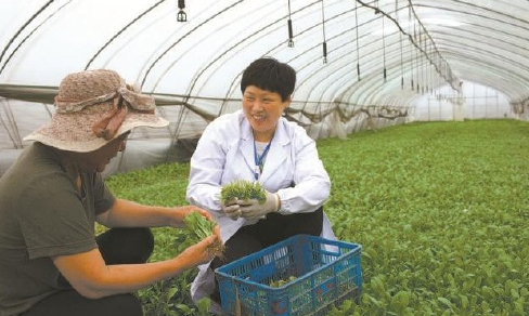 江苏省人大代表王虎琴:念好“新茶经”,一心为茶农