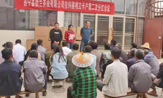 马榕:专做一杯好茶的“匠人”