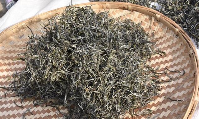 如何判断普洱春茶的品质？