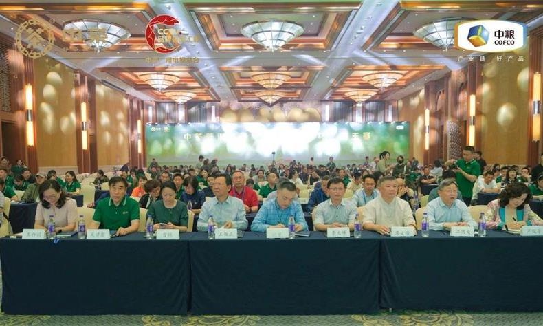 2024云南中茶茶业有限公司经销商大会圆满落幕!