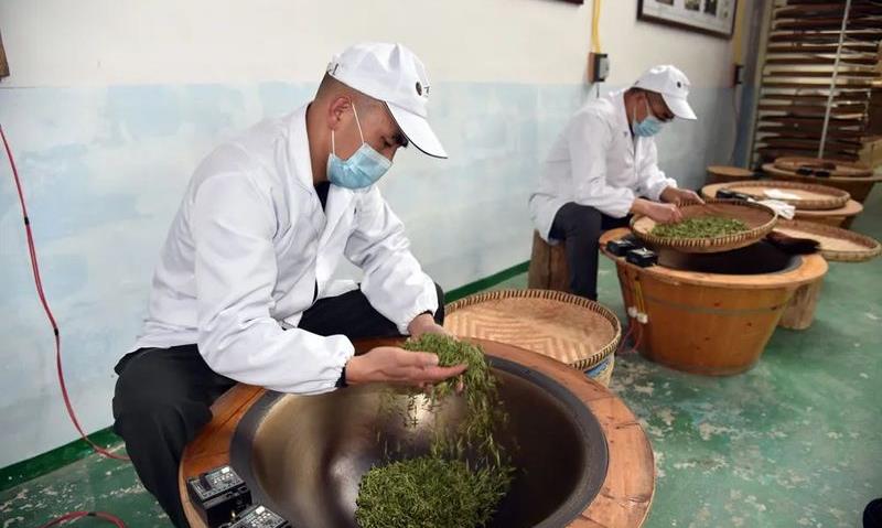 王权:大金坡上的“养”茶人