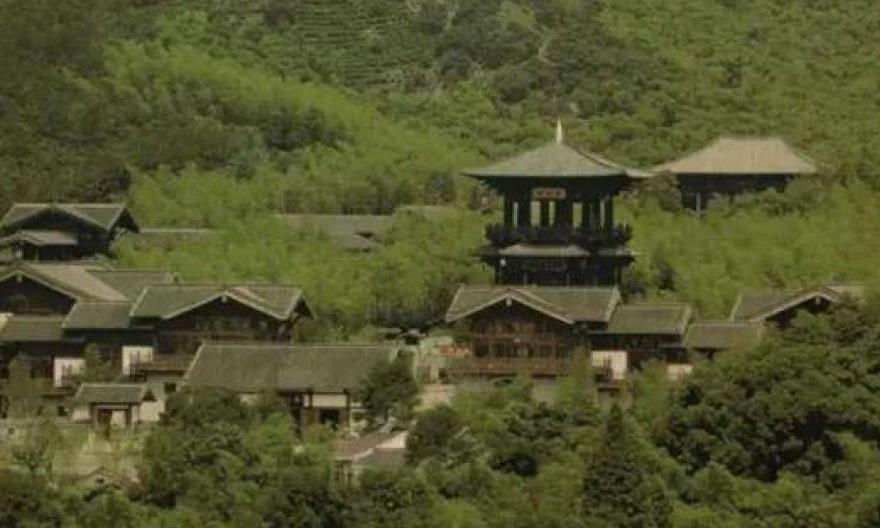 上品贡茶—顾渚紫笋