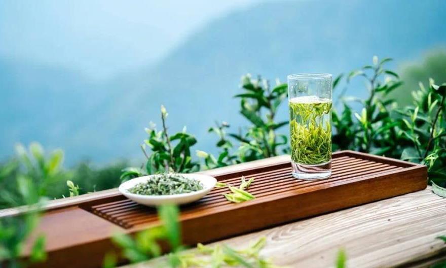 各产茶大省都有哪些名优绿茶？