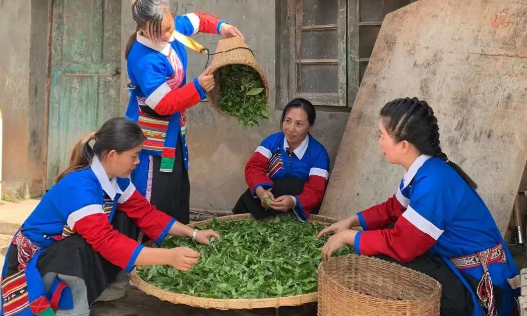 李艳芳:书香每伴茶香溢