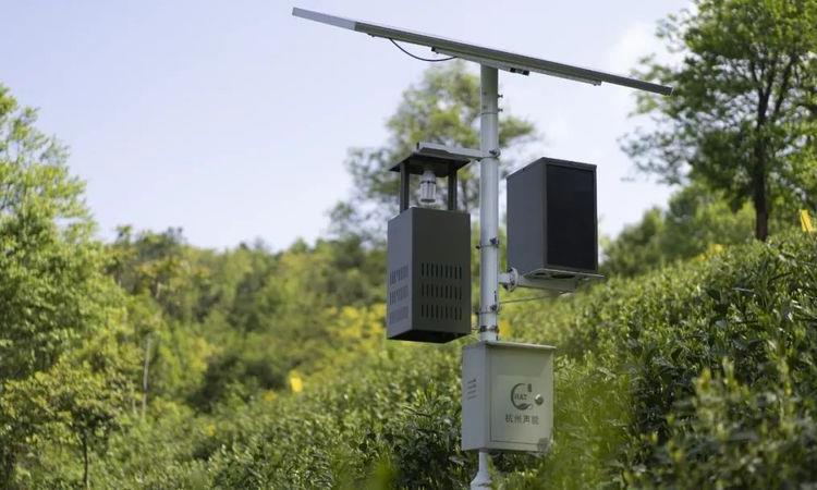 太平猴魁专属身份标识试运行