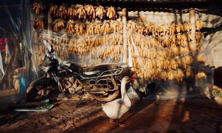 如何通过品鉴判断值得长期存放的普洱茶