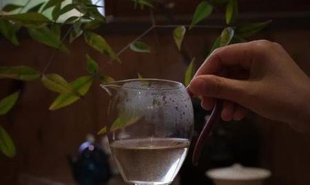 我在茶海,等风等雨也等你