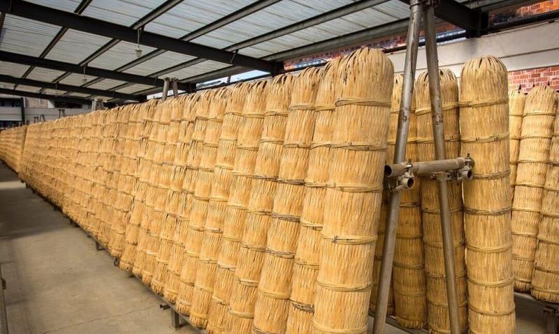 一文秒懂安化黑茶