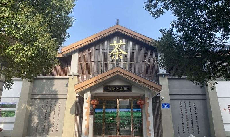 蔡娟:家乡茶,伴我北上千里行