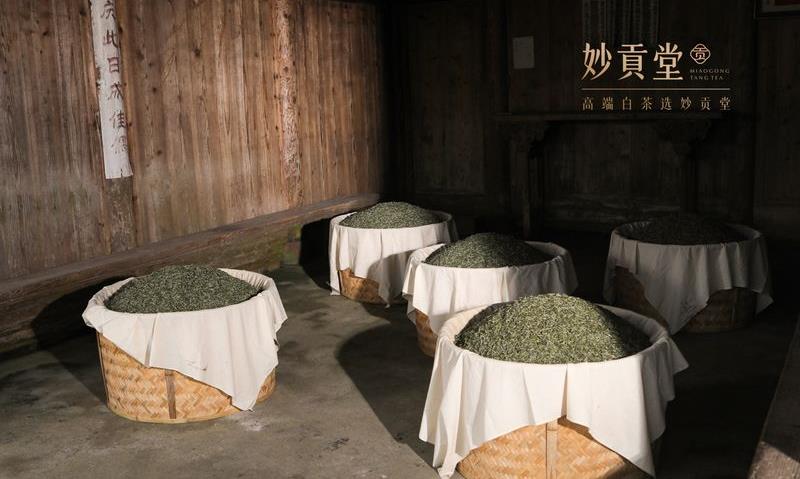都说牡丹是三好学生,但你知道顶尖的牡丹要怎么选吗?