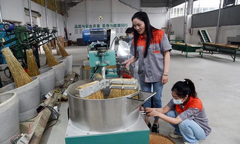 一个女老板和她的两个加工厂——凤冈县返乡农民工赵小意的创业故事