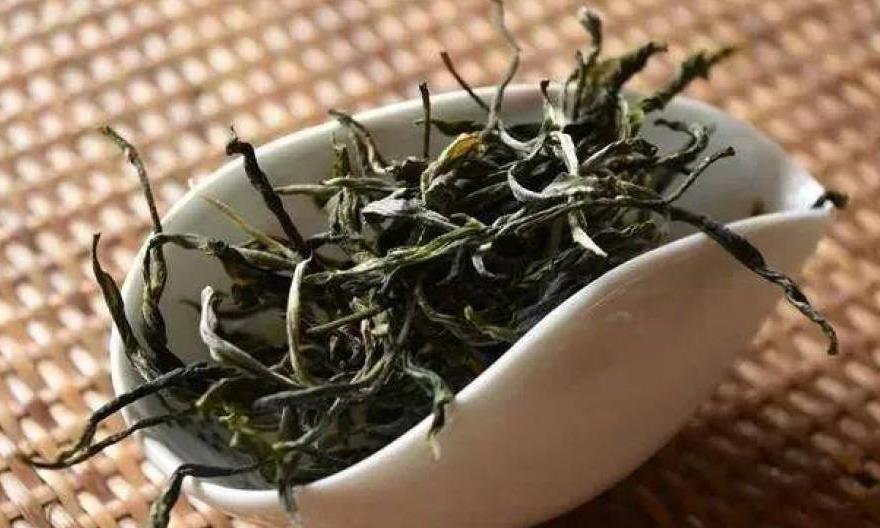 普洱春茶有哪些特点？春茶季如何选购春茶？