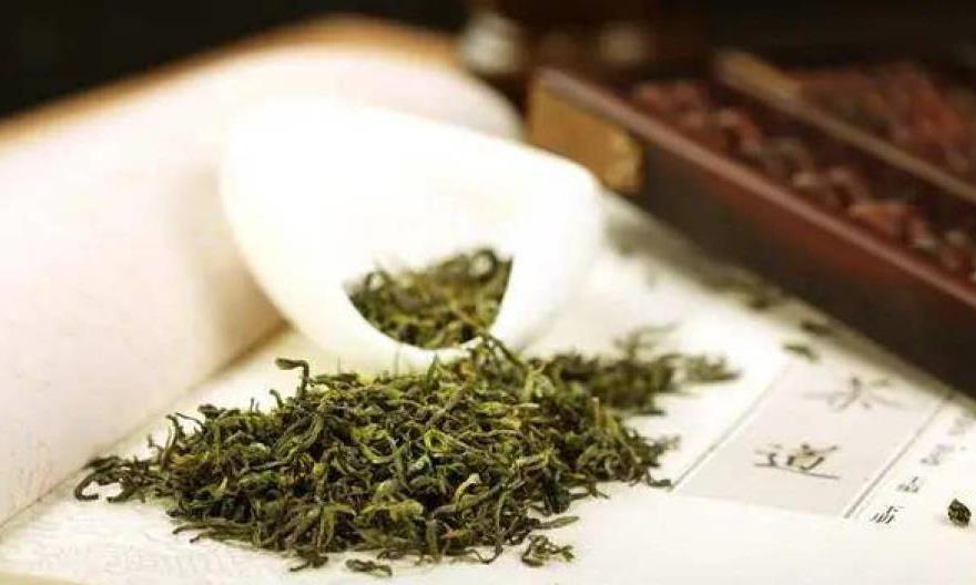 日照绿茶—北方第一茶