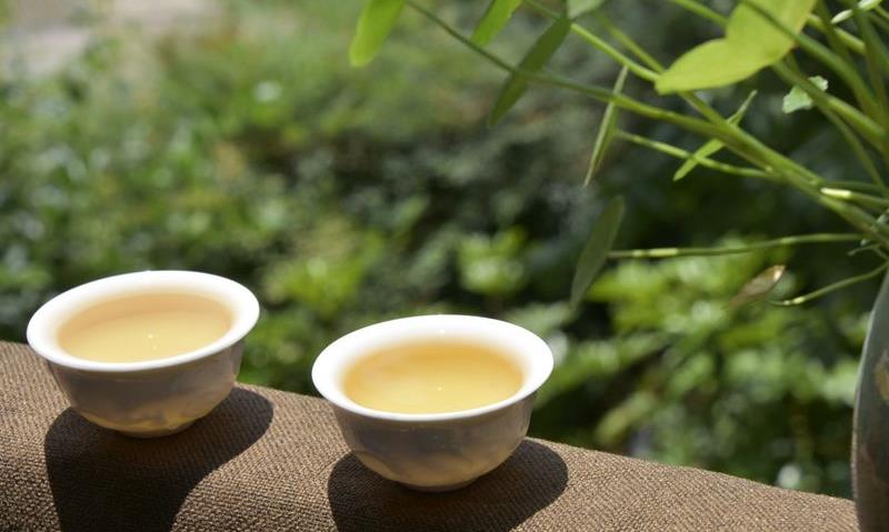 普洱春茶有什么功效和作用