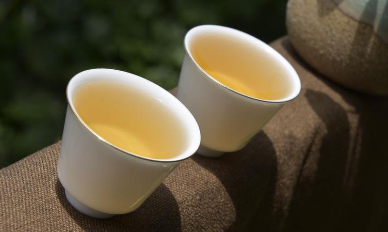 古树普洱春茶有哪些特征？