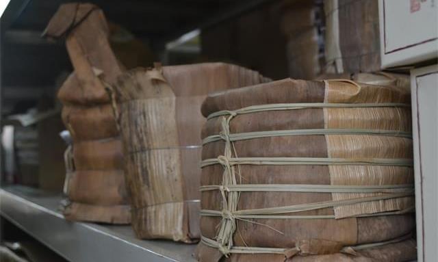 普洱春茶选散茶好还是紧压茶好？