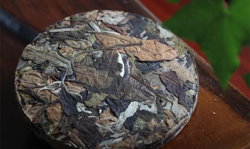 白茶：时光的礼物，岁月的滋味