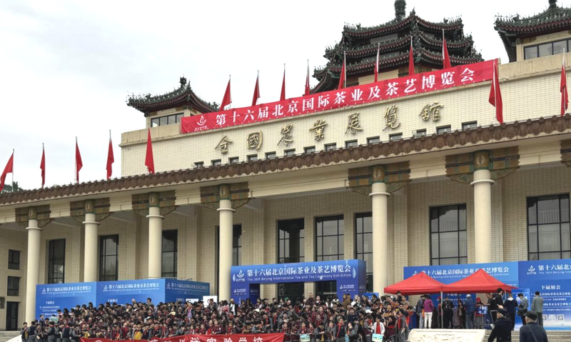 2024年北方首场专业茶展今日开幕！