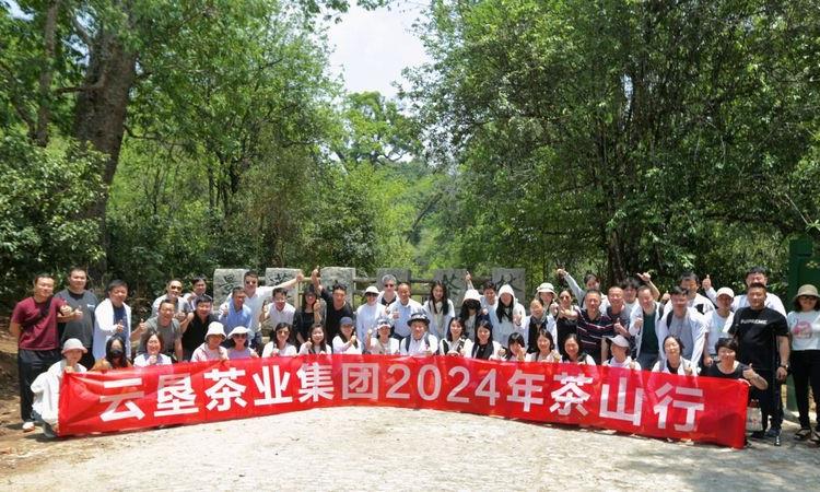 云南云垦茶业集团2024年度经销商大会茶山行活动圆满落幕