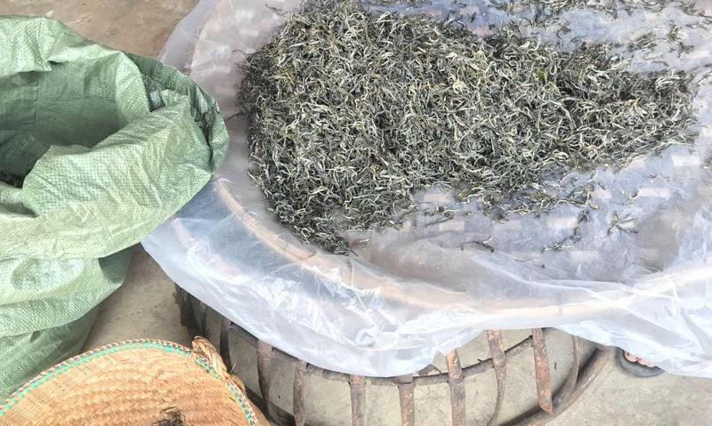 雷达山古树茶的特点