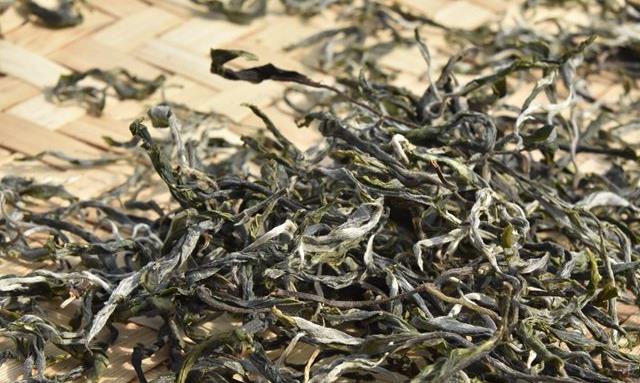 易武麻黑古树茶口感特点