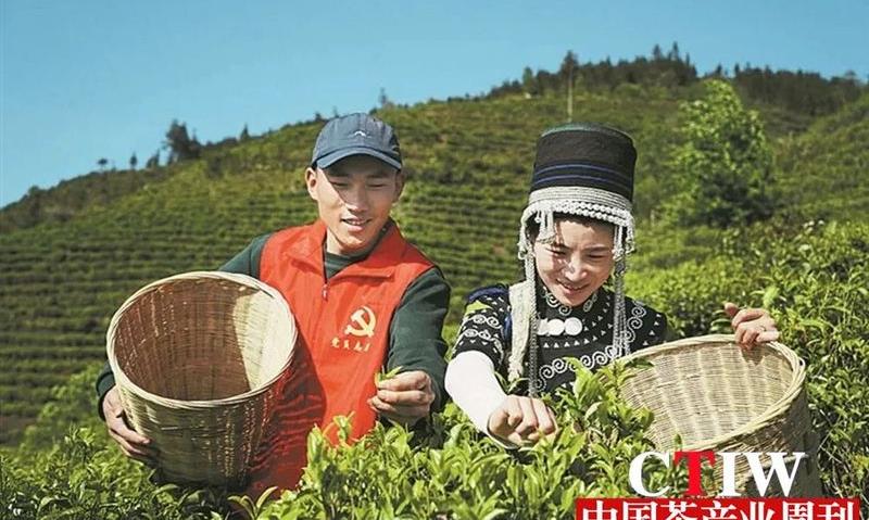 李家华:科技赋能让茶农生活更“甘甜”