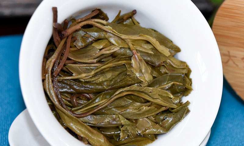 犀牛塘古树茶的特点