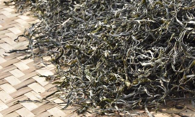 皇家贡茶：曼松