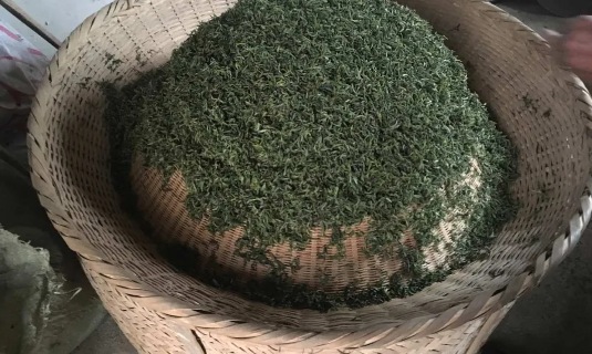 茶韵悠长：探寻茶叶中的“青”之奥秘