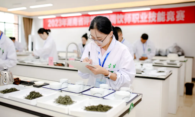 谢娇枚:科班出身深耕茶园,以“技”赋能产业发展