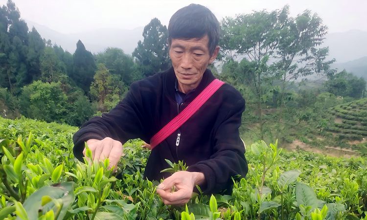 瞿忠传:从“手艺人”到“守艺人”