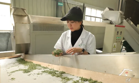 晏施娟:茶,让生活更美好