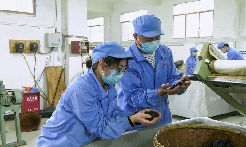 陈世勇:十年磨一剑 专注做好茶