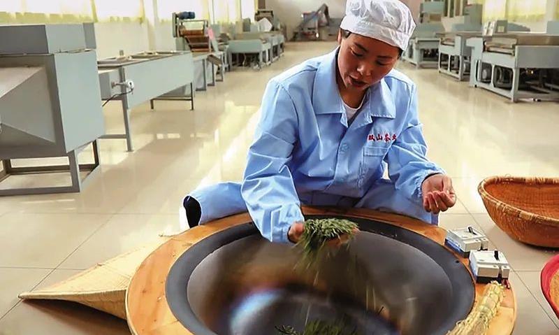 商洛商南:薛艳坚守茶“心”二十载