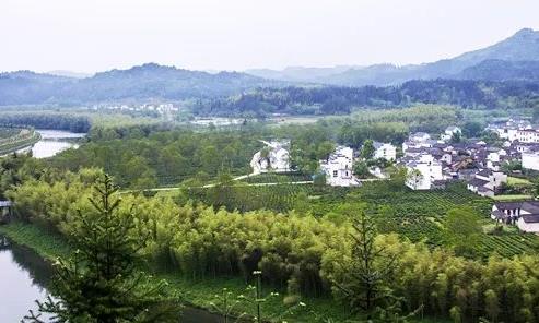 王昶:择一事热爱 守一世初心