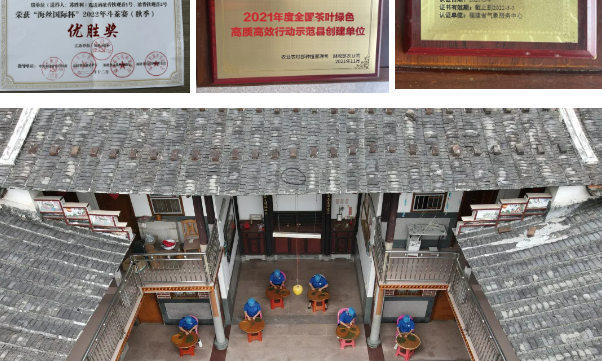 怡芳茶业:品茗谈笑,茶香拂面