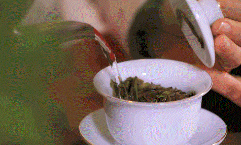 一篇文章带你逛遍东西南北的茶馆