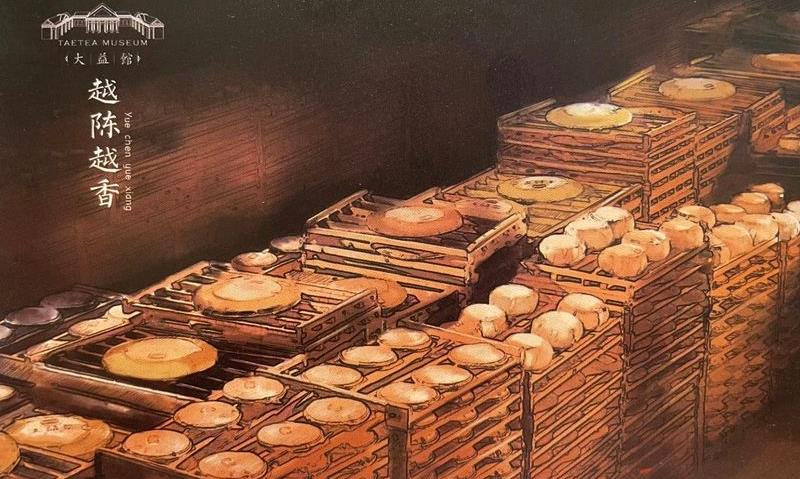 2024北京国际茶业展:大益,让天下人尽享一杯好茶的美好时光
