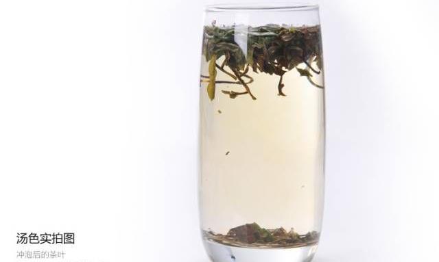 政和白茶之——“白牡丹”