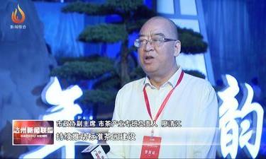 达州：46家茶叶企业携160个茶叶系列产品亮相茶博会