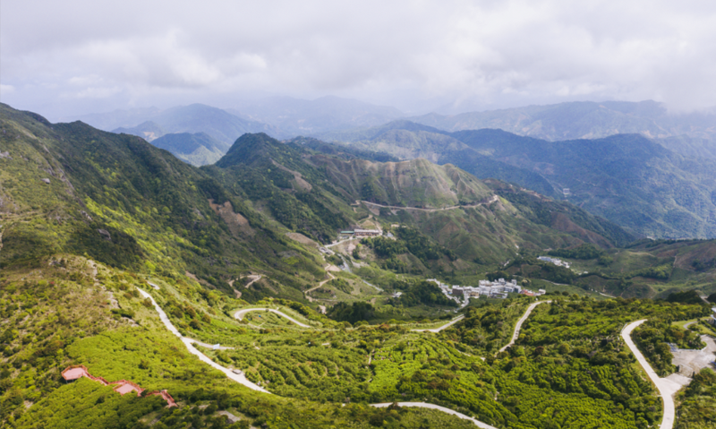 第六届中国国际茶叶博览会将于5月17日开幕