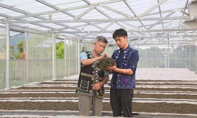 李兴昌：弘扬德艺双馨精神 躬身践行茶人匠心