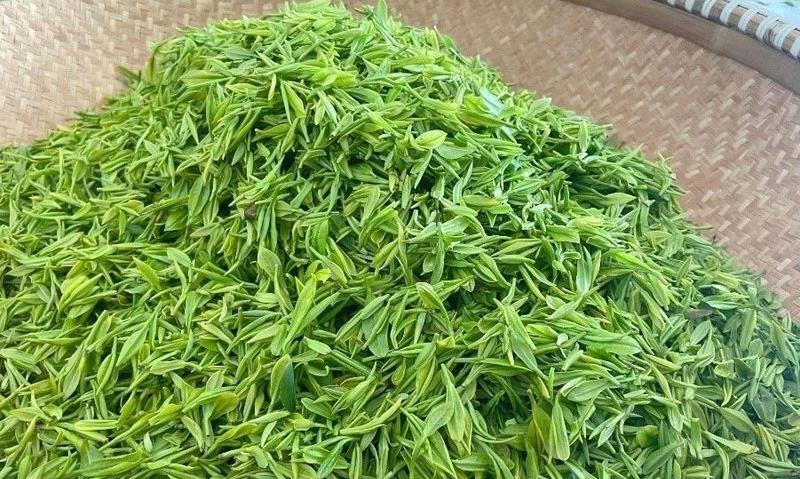家乡的茶香