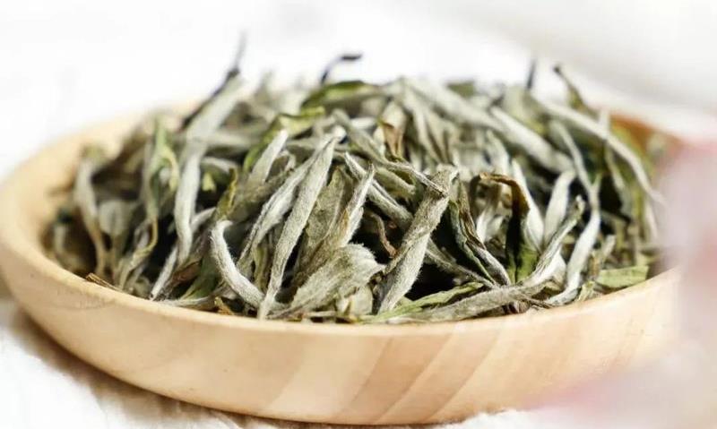 白茶——时光沉淀的珍宝